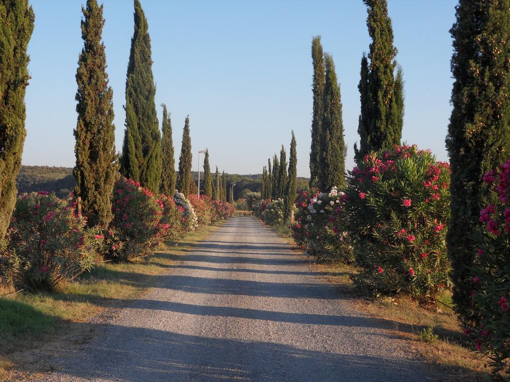 Fattoria La Steccaia Villa Riparbella Exterior foto